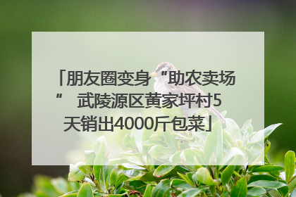 朋友圈变身“助农卖场” 武陵源区黄家坪村5天销出4000斤包菜