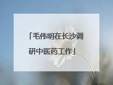 毛伟明在长沙调研中医药工作