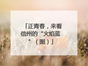 正青春，来看信州的“火焰蓝”（图）