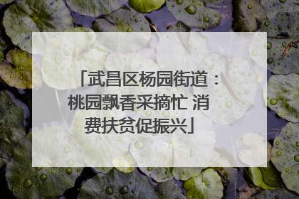 武昌区杨园街道：桃园飘香采摘忙 消费扶贫促振兴