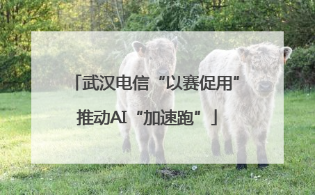 武汉电信“以赛促用”推动AI“加速跑”