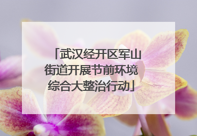 武汉经开区军山街道开展节前环境综合大整治行动
