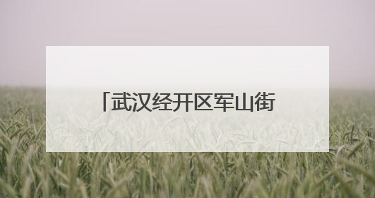 武汉经开区军山街道2025年“安全生产月”活动启动