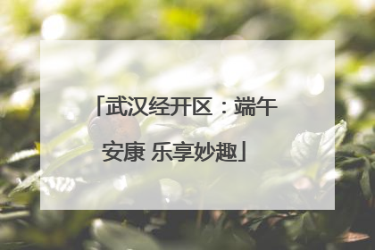 武汉经开区：端午安康 乐享妙趣