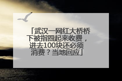 武汉一网红大桥桥下被指圈起来收费，进去100块还必须消费？当地回应