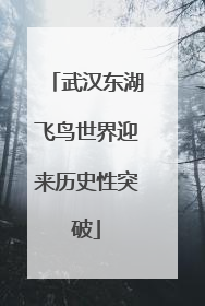 武汉东湖飞鸟世界迎来历史性突破