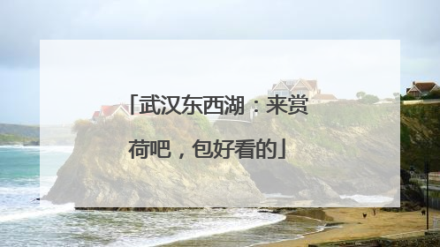 武汉东西湖：来赏荷吧，包好看的