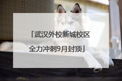 武汉外校新城校区全力冲刺9月封顶