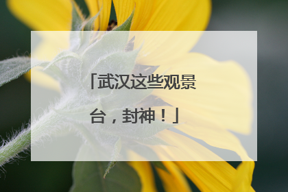 武汉这些观景台，封神！