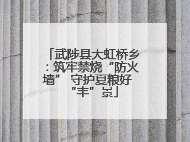 武陟县大虹桥乡：筑牢禁烧“防火墙” 守护夏粮好“丰”景