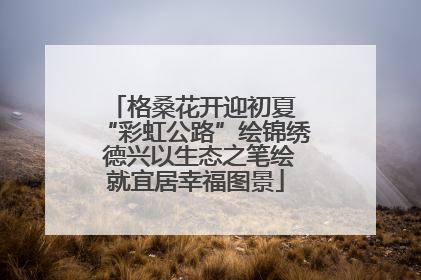 格桑花开迎初夏 “彩虹公路”绘锦绣 德兴以生态之笔绘就宜居幸福图景