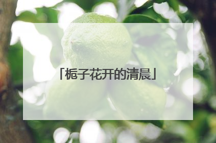 栀子花开的清晨