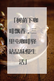 树荫下咖啡飘香，三里屯咖啡驿站品味慢生活