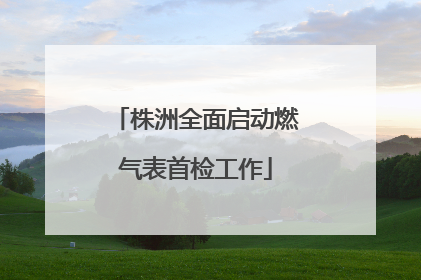 株洲全面启动燃气表首检工作