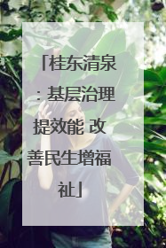 桂东清泉：基层治理提效能 改善民生增福祉