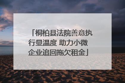 桐柏县法院善意执行显温度 助力小微企业追回拖欠租金