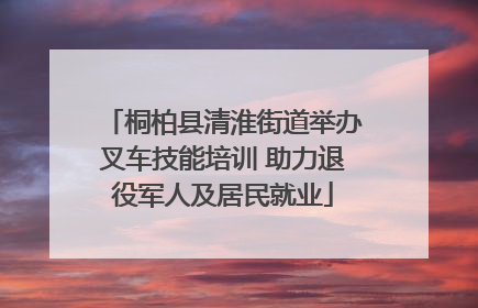 桐柏县清淮街道举办叉车技能培训 助力退役军人及居民就业
