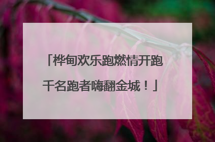 桦甸欢乐跑燃情开跑 千名跑者嗨翻金城！
