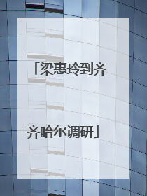 梁惠玲到齐齐哈尔调研