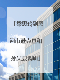 梁惠玲到黑河市逊克县和孙吴县调研