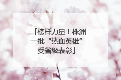 榜样力量！株洲一批“热血英雄”受省级表彰