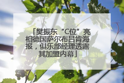 樊振东“C位”亮相德国萨尔布吕肯海报，俱乐部经理透露其加盟内幕