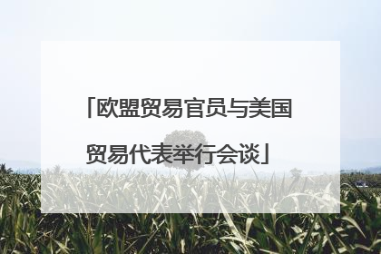 欧盟贸易官员与美国贸易代表举行会谈