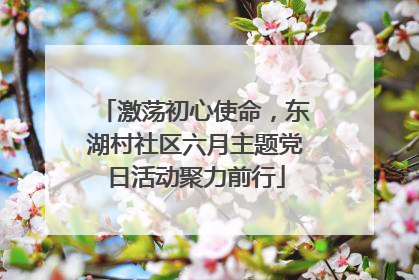 激荡初心使命，东湖村社区六月主题党日活动聚力前行