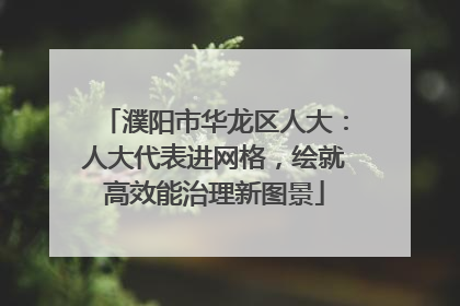 濮阳市华龙区人大：人大代表进网格，绘就高效能治理新图景