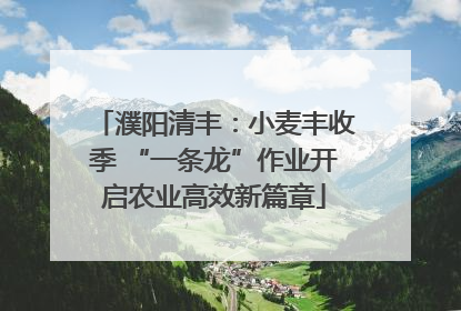 濮阳清丰：小麦丰收季 “一条龙”作业开启农业高效新篇章