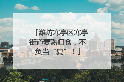 潍坊寒亭区寒亭街道麦熟归仓，不负当“夏”！