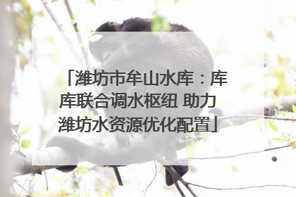 潍坊市牟山水库：库库联合调水枢纽 助力潍坊水资源优化配置