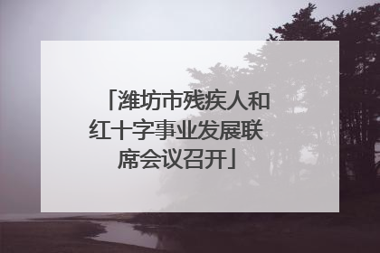 潍坊市残疾人和红十字事业发展联席会议召开