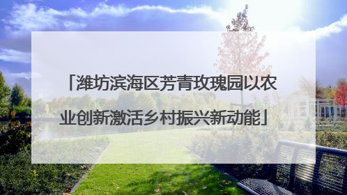潍坊滨海区芳青玫瑰园以农业创新激活乡村振兴新动能