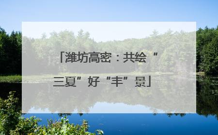 潍坊高密：共绘“三夏”好“丰”景