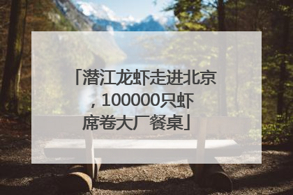 潜江龙虾走进北京，100000只虾席卷大厂餐桌