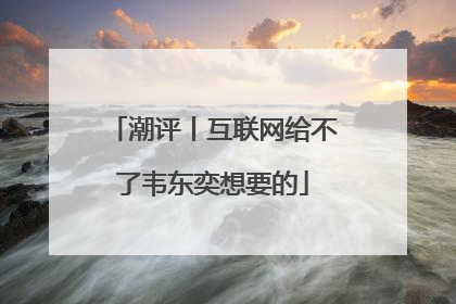 潮评丨互联网给不了韦东奕想要的