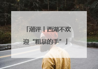 潮评丨西湖不欢迎“粗暴的手”