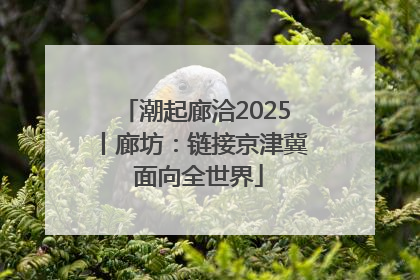 潮起廊洽2025丨廊坊：链接京津冀 面向全世界