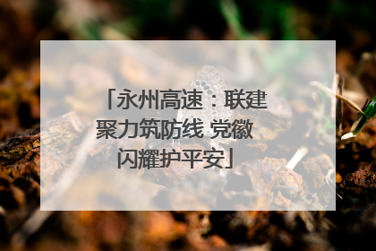 永州高速：联建聚力筑防线 党徽闪耀护平安