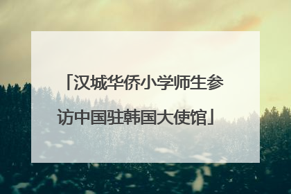汉城华侨小学师生参访中国驻韩国大使馆