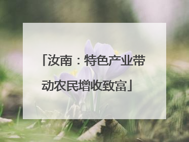 汝南：特色产业带动农民增收致富