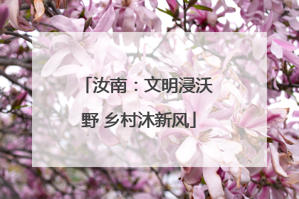 汝南：文明浸沃野 乡村沐新风