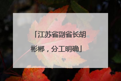江苏省副省长胡彬郴，分工明确