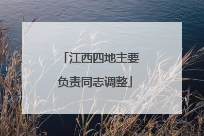 江西四地主要负责同志调整