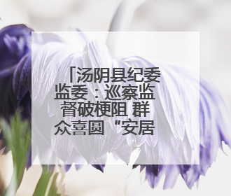 汤阴县纪委监委：巡察监督破梗阻 群众喜圆“安居梦”