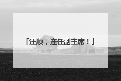 汪顺，连任副主席！