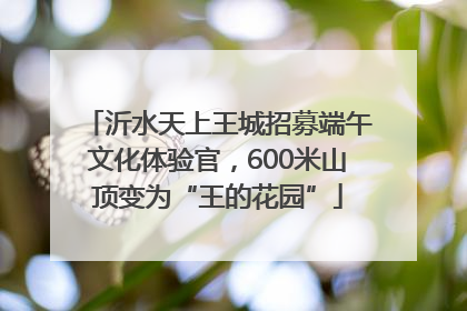 沂水天上王城招募端午文化体验官，600米山顶变为“王的花园”