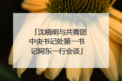 沈晓明与共青团中央书记处第一书记阿东一行会谈