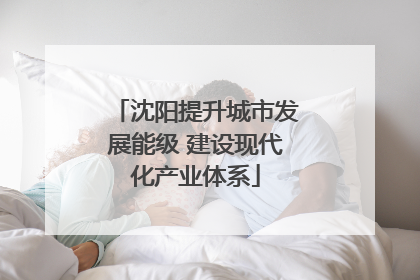 沈阳提升城市发展能级 建设现代化产业体系